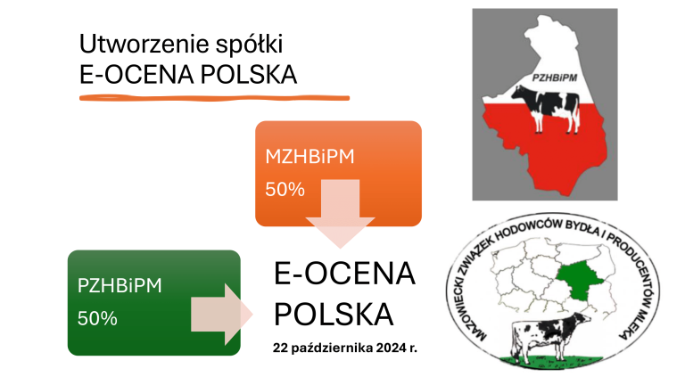 E-OCENA POLSKA ver 4 (1)-02