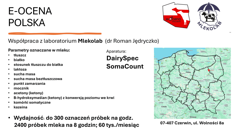 E-OCENA POLSKA ver 4 (1)-04