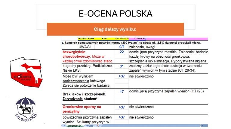 E-OCENA POLSKA ver 4 (1)-10