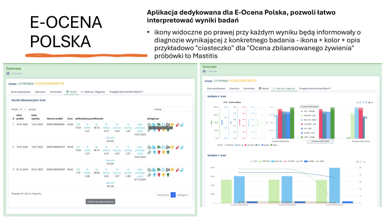 E-OCENA POLSKA ver 4 (1)-11
