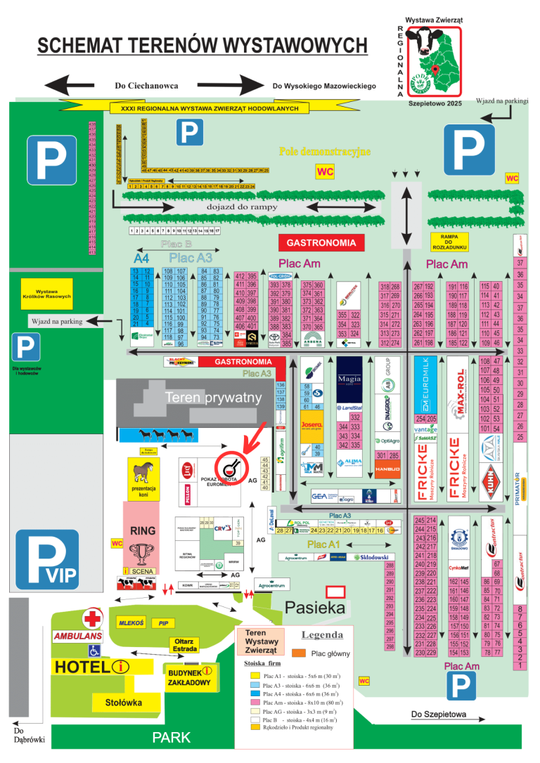 Projekt bez nazwy (1)