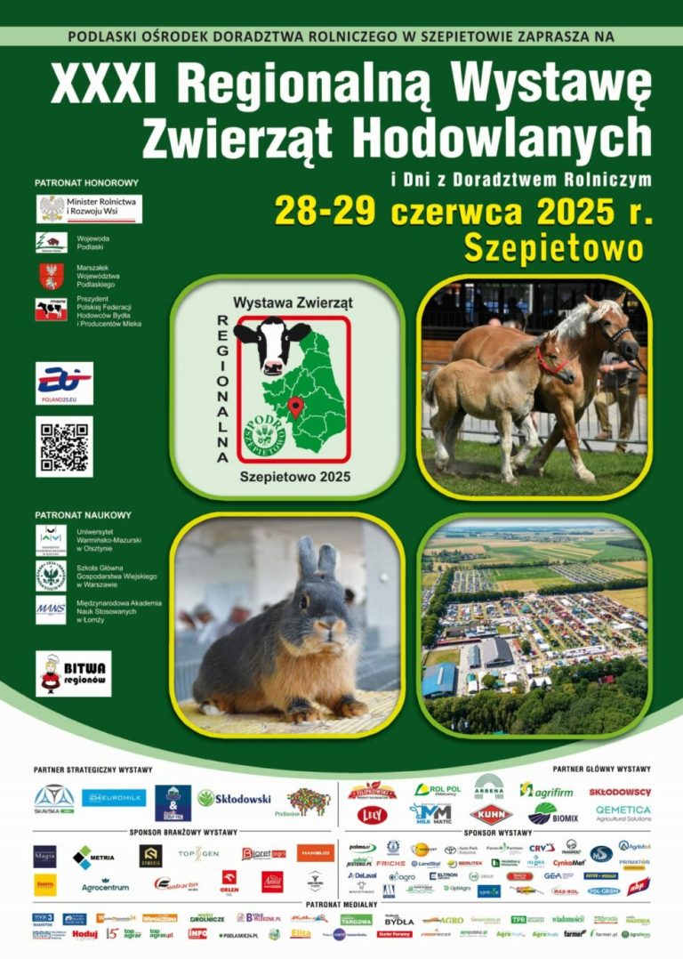 plakat-a3-splaszczony-z-medialnymi-18-002-1-980x1375